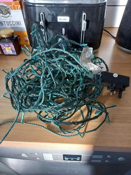 Photo of free Fairy lights (Roundhill area brighton) #1