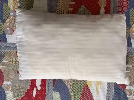 Photo of free Old Cushion (For Pets?) (WS13) #1