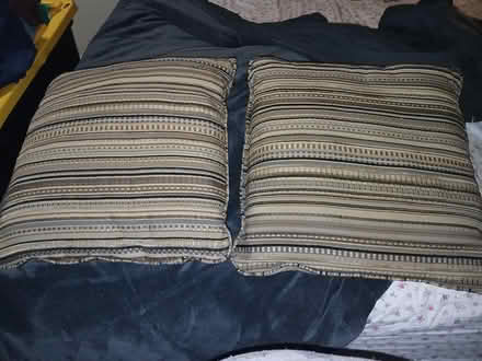 Photo of free 2 Pillows (Wayne, PA) #1