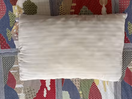 Photo of free Old Cushion (For Pets?) (WS13) #2