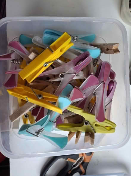 Photo of free Pegs, mixed (Walsall Wood) #1