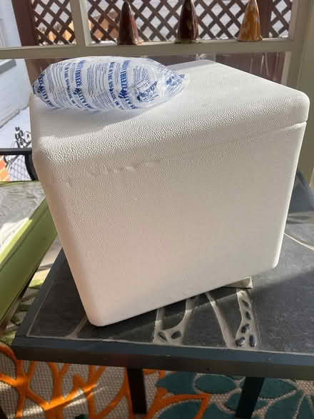 Photo of free New styrofoam cooler (Tenley/AU Park) #1