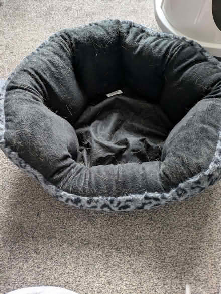 Photo of free Cat litter tray. Bed, toy (Boothtown HX3) #4