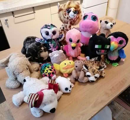 Photo of free Soft toys (Dukinfield (SK16)) #1