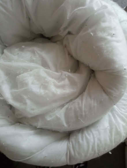 Photo of free Old duvet (Bonnington EH6) #1