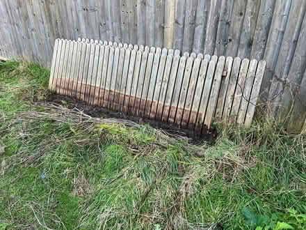 Photo of free Four picket fence panels (Friston IP17) #1