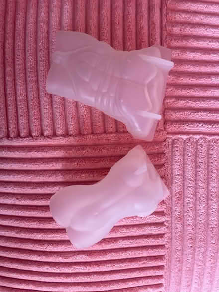 Photo of free Torso silicone molds (Somerville, winter hill) #1