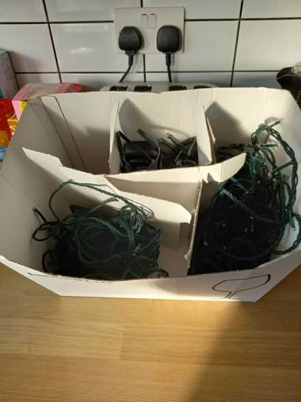 Photo of free Fairy lights (Roundhill area brighton) #2