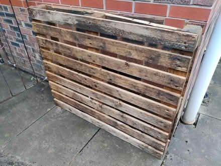 Photo of free Pallet (Northwich CW8) #1