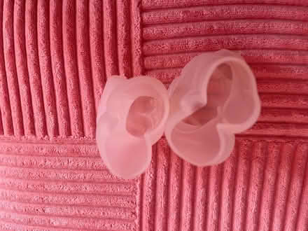 Photo of free Torso silicone molds (Somerville, winter hill) #2