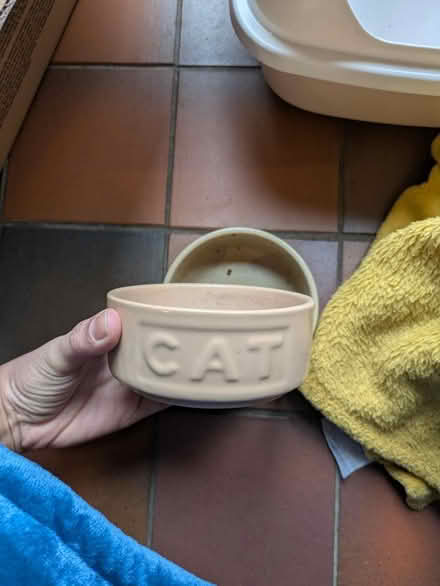 Photo of free Cat stuff litter bowls bed food (Archway N19) #4