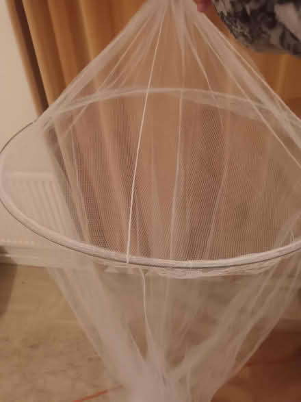 Photo of free Single Bed canopy net (Carlton) #1