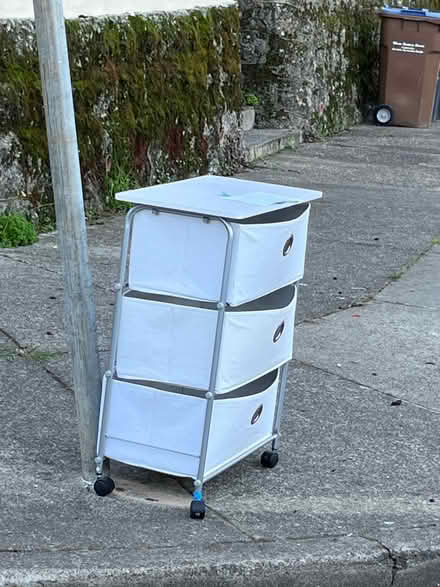 Photo of free Storage bins on rolling cart & lids (173 Picnic Ave, San Rafael) #1