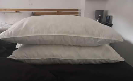 Photo of free 2x pillows (Bradford on Avon BA15) #1