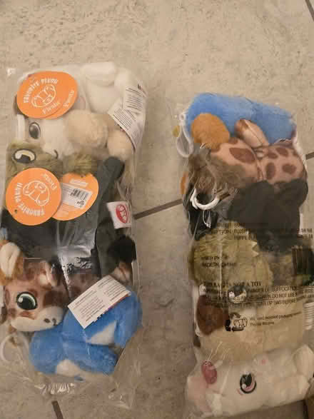 Photo of free Keychain teddies (saint cloud) #2