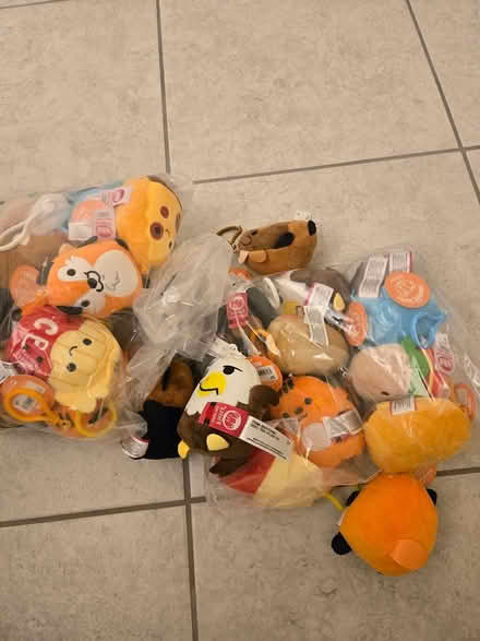 Photo of free Keychain teddies (saint cloud) #1