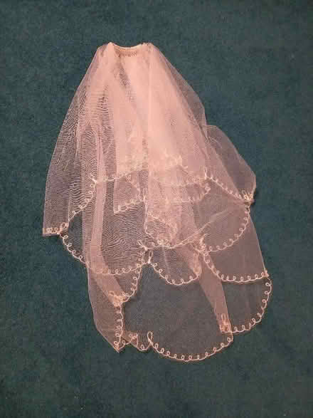 Photo of free Wedding veil (Littlemore OX4) #3