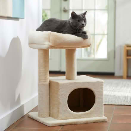 Photo of Cat Tree/Hotel (Vacaville) #1