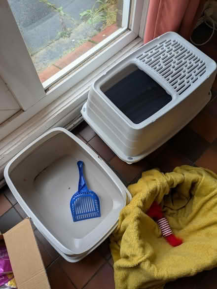 Photo of free Cat stuff litter bowls bed food (Archway N19) #2