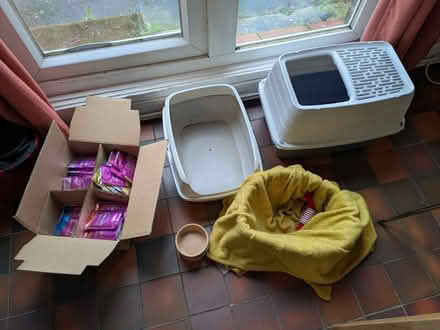 Photo of free Cat stuff litter bowls bed food (Archway N19) #1