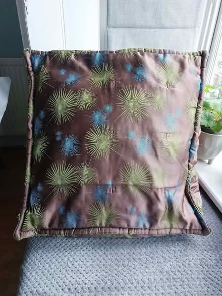 Photo of free two large satin IKEA cushions (Ringmer BN8) #1