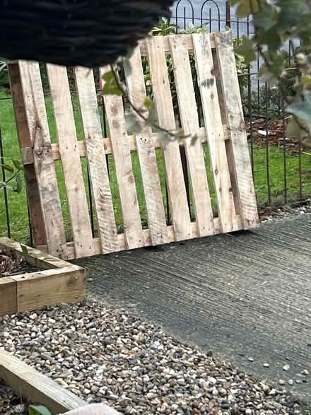 Photo of free Pallet (Toppesfield CO9) #1