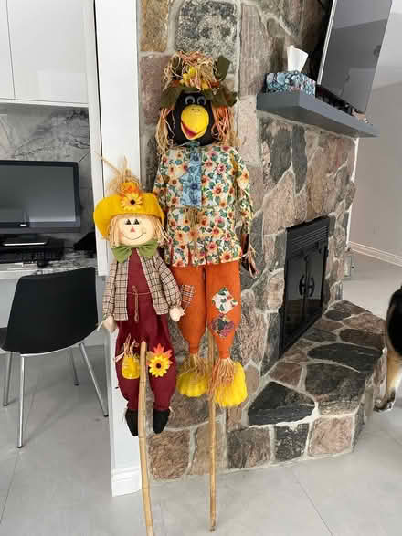 Photo of free Fall scarecrows (King city) #1