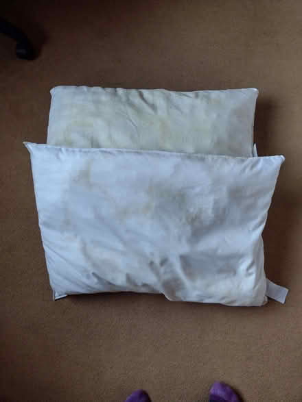 Photo of free two bed pillows (used) (Yew Tree WS5) #1