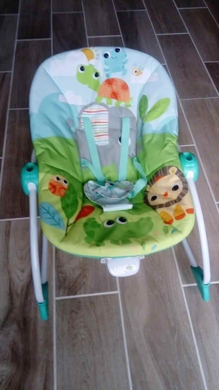 Photo of free Baby Rocker (Holsworthy, EX22 6BL) #1