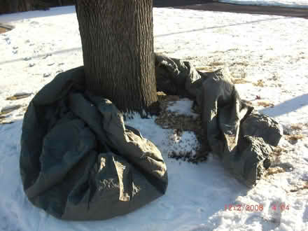 Photo of free Automobile cover (Lancaster, South west side.) #1