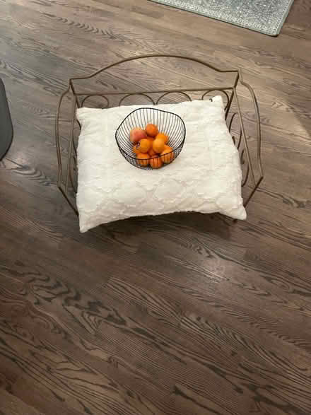 Photo of free dog bed (Governors Ranch Littleton) #2