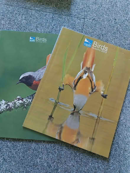 Photo of free RSPB Birds magazines. (Newbottle DH4) #1