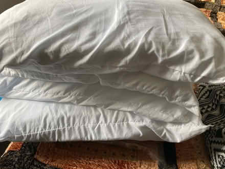 Photo of free Pillows & Single Duvets [not feather] (Bolsover S44) #3