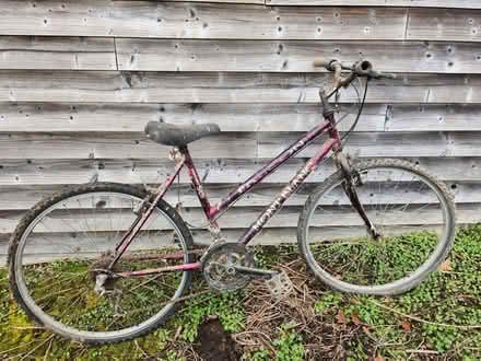 Photo of free Ladies bicycle (Owlbury SY15) #1