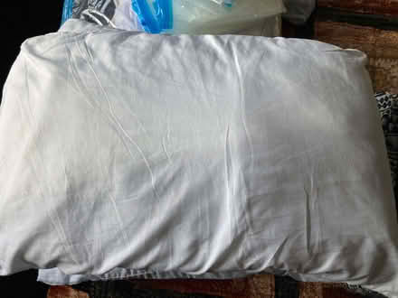 Photo of free Pillows & Single Duvets [not feather] (Bolsover S44) #2