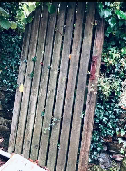 Photo of free Garden gate (Calstock PL18) #1