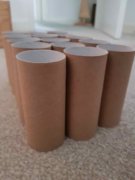 Photo of free Empty Toilet Rolls Tubes (North Abingdon, OX14) #1