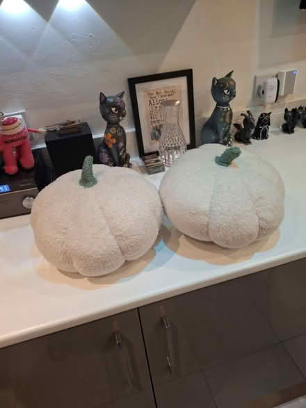 Photo of free Cushions (Winsford CW7) #1