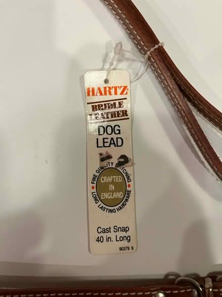 Photo of free Leather dog collar and lead (small) (Olney) #2