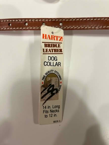 Photo of free Leather dog collar and lead (small) (Olney) #3