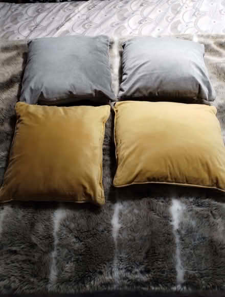 Photo of free Cushions (Chelmer Village CM2) #1