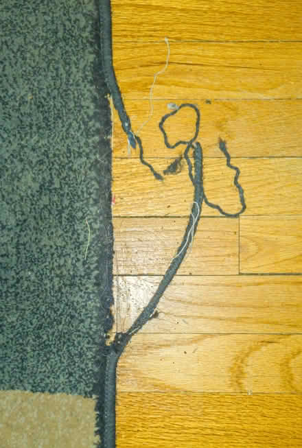 Photo of free worn rug 62 1⁄2” x 92 3⁄4” (near west side of Madison) #2