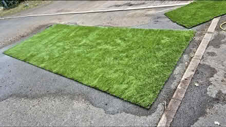 Photo of Artificial grass (Swindon SN3) #1