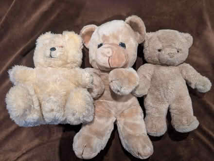 Photo of free Up to 3 Teddy Bears (Ann Arbor, Central Campus) #1