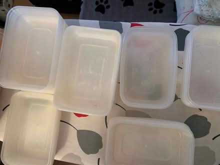 Photo of free Plastic takeaway pots with lids (Nyetimber PO21) #2