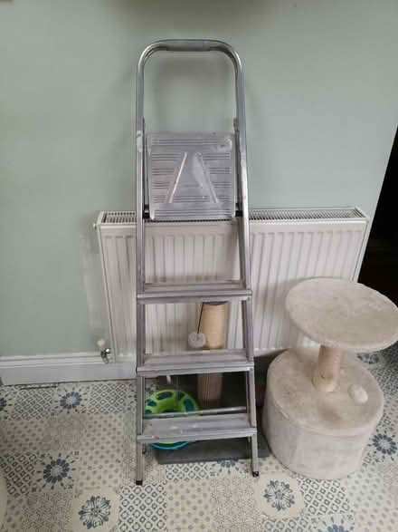 Photo of free Step Ladder (City of Bristol BS16) #2