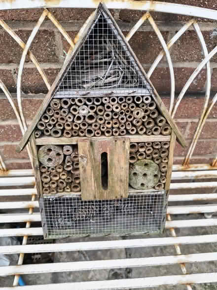 Photo of free Insect Bee House plus bird feeder (Fiveways Brighton) #1