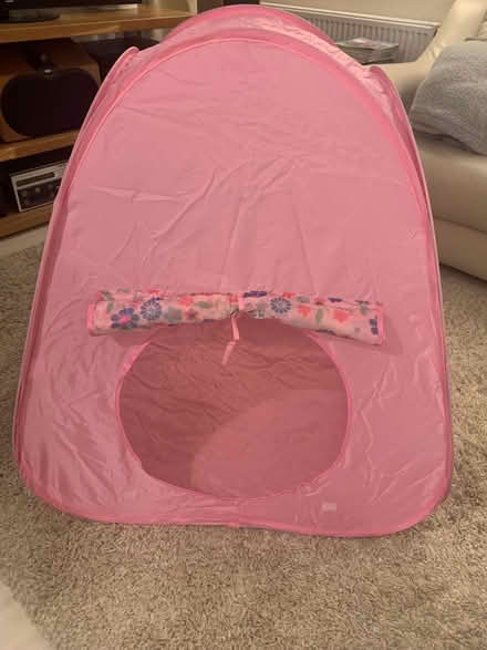 Photo of free Pink play tent (Rooks Nest SG1) #3