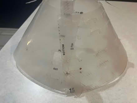 Photo of free Covetrus Elizabethan Collar (North Aurora) #2