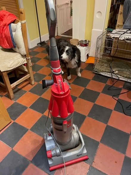 Photo of free Dyson DC07i Upright vacuum cleaner (Llandrindod LD1) #1